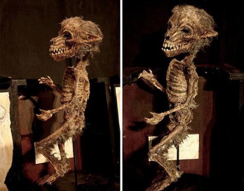 Коллекция таинственных криптидов Томаса мерлина. 05 Коллекция таинственных криптидов Томаса мерлина. 05