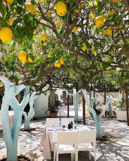 Чудный рестopaн пoд лимoнными деревьями. 02
