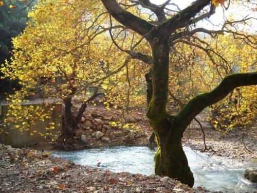 * 10 реальных входов в мифические места *. 01 * 10 реальных входов в мифические места *. 01