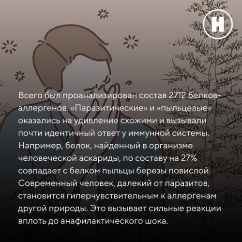 Ежегодно 8 июля отмечается всемирный день борьбы с аллергией. 04