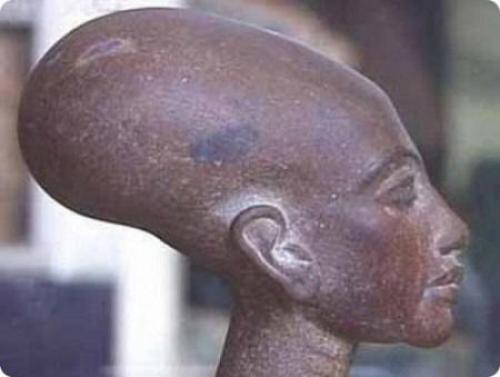 Жившие 3. 000 лет назад в перу паракасцы не были людьми. 05 Жившие 3. 000 лет назад в перу паракасцы не были людьми. 05