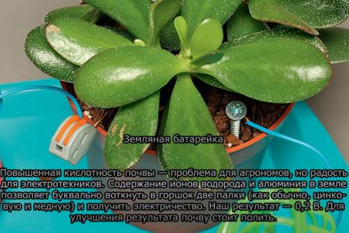 Мы добываем электричество из лимона, картофеля и уксуса. 04