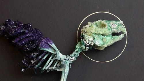 Таксидермия от Тайлера трэшера (Tyler Thrasher. 07