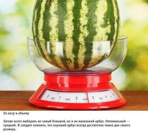 Впереди последний месяц лета. 03