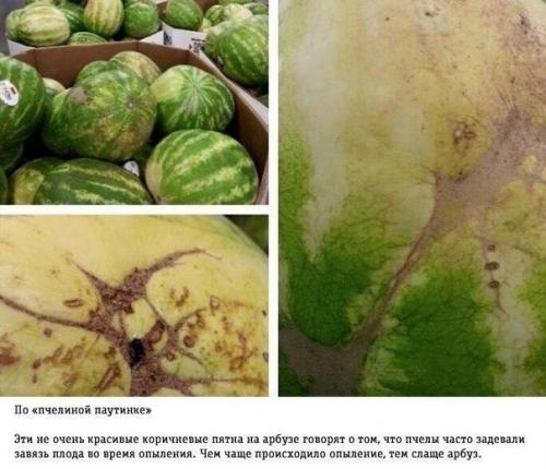 Впереди последний месяц лета. 02