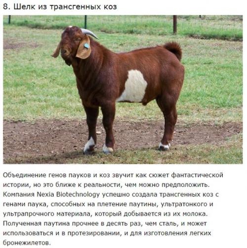 10 неимоверных научных революционных достижений. 02