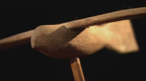 Птицы из саккары. 06