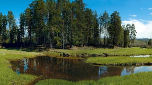 Сейчас активно обсуждаются пожары в сибирских лесах. 01