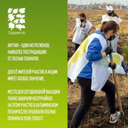Участие в акции мы Сохраним лес - твой вклад в экологию! 03