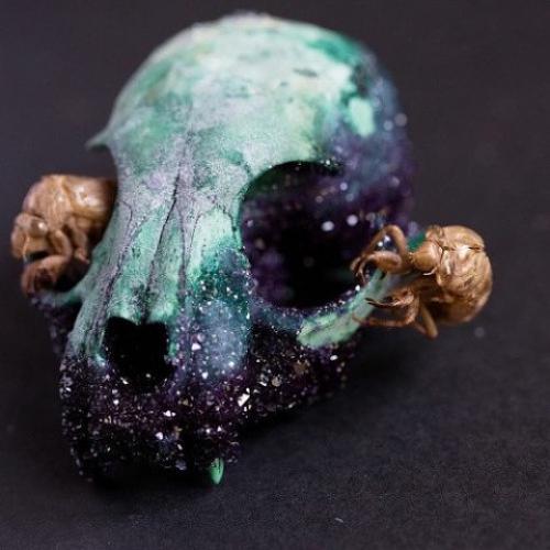 Таксидермия от Тайлера трэшера (Tyler Thrasher. 08