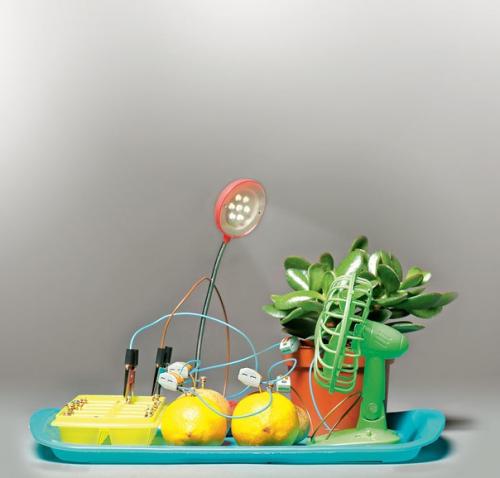 Мы добываем электричество из лимона, картофеля и уксуса.

