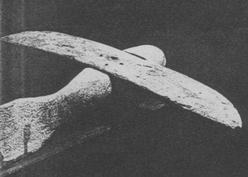 Птицы из саккары. 04