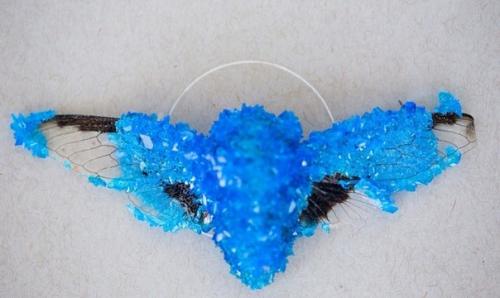 Таксидермия от Тайлера трэшера (Tyler Thrasher. 03