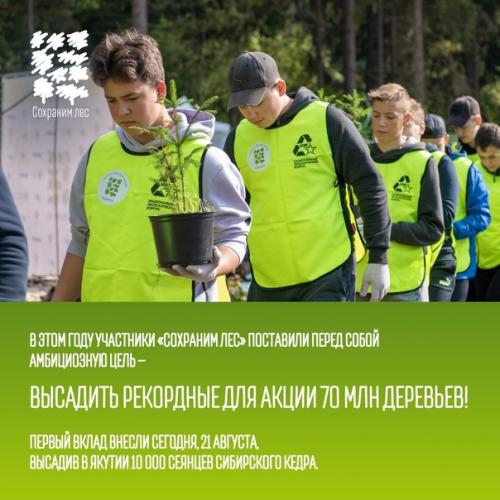 Участие в акции мы Сохраним лес - твой вклад в экологию! 02