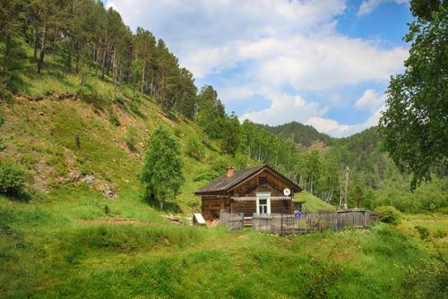Сейчас активно обсуждаются пожары в сибирских лесах. 05