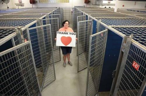 Запоминайте - так выглядит самый счастливый приют.