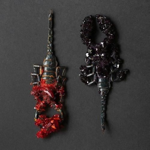 Таксидермия от Тайлера трэшера (Tyler Thrasher. 02