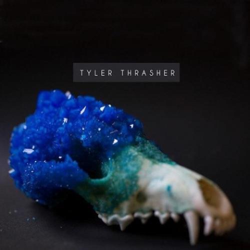 Таксидермия от Тайлера трэшера (Tyler Thrasher. 05