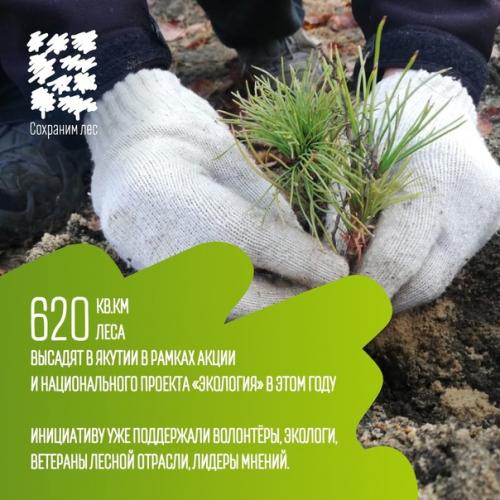 Участие в акции мы Сохраним лес - твой вклад в экологию! 04