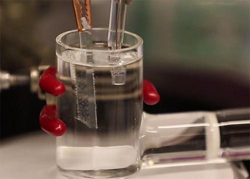 Ученые создали новую версию бионического листа, эффективность которого превышает эффективность растений в десять раз. Ученые создали новую версию бионического листа, эффективность которого превышает эффективность растений в десять раз.