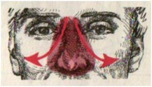 Тибетская гормональная гимнастика. 04 Тибетская гормональная гимнастика. 04
