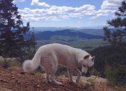 Джон сторц - иллюстратор и путешественник из США. 05