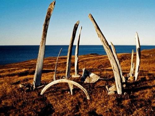 Китовая аллея на Чукотке. 01