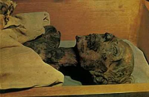 Белые Боги древнего Египта. 04 Белые Боги древнего Египта. 04