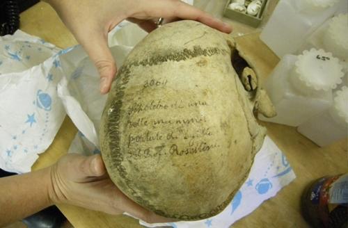 Мумия кенамона: трудная судьба царского брата. 01