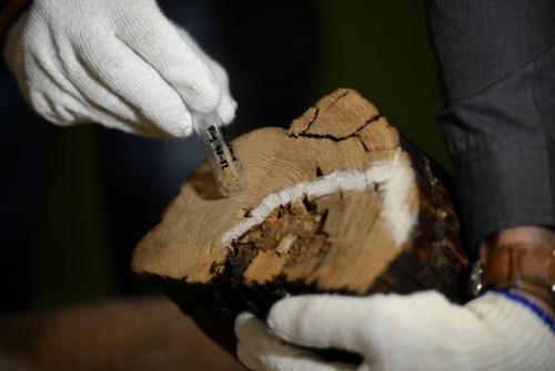 Восставший из торфа. 04