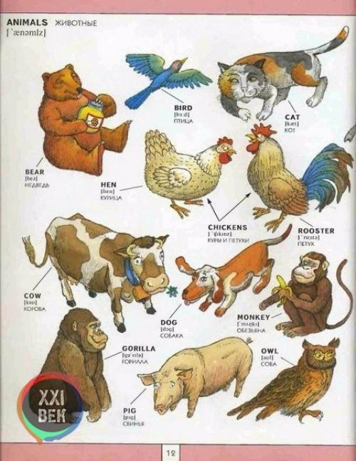 Полезная визуальная лексика английского языка. 09