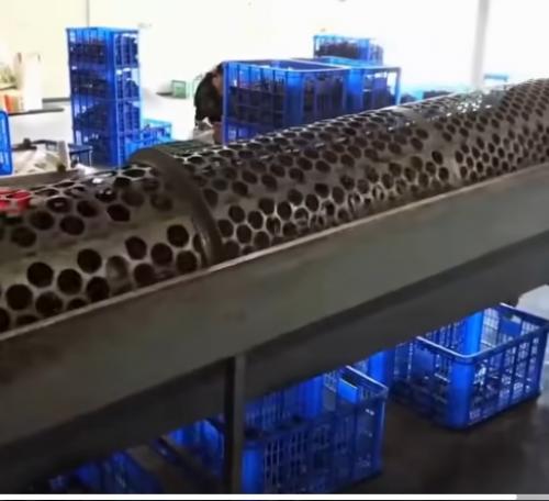 Грибные хозяйства можно встретить по всему миру, однако их основная масса находится в Китае. 01