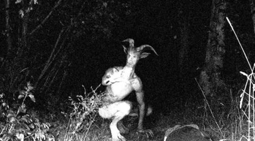 Cнимки жутких существ, неизвестных науке. 05