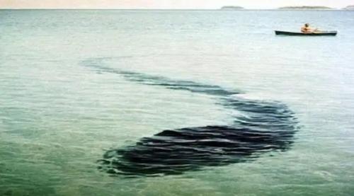 Cнимки жутких существ, неизвестных науке. 02