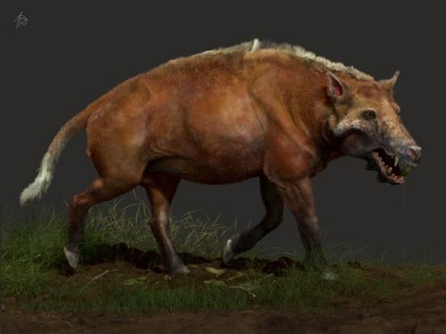 Вкусовые престрастия, как и ценности формируются годами, даже десятилетиями. 03