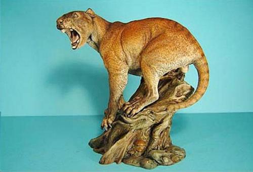 Вкусовые престрастия, как и ценности формируются годами, даже десятилетиями. 01