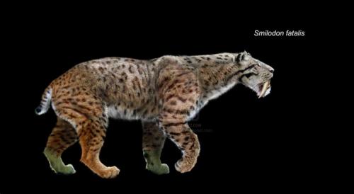 Вкусовые престрастия, как и ценности формируются годами, даже десятилетиями. 07