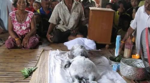 Cнимки жутких существ, неизвестных науке. 01