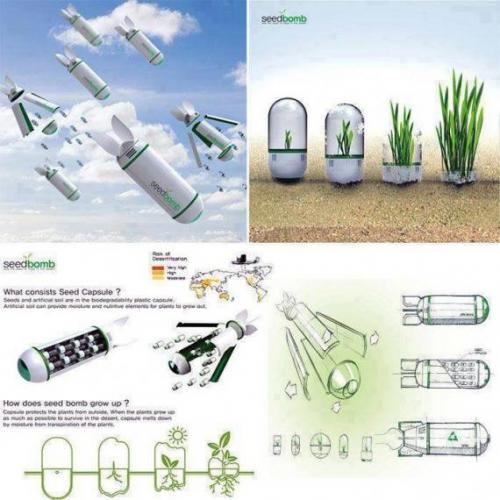 Интересная задумка.  Старые бомбардировщики могут высаживать до 900 000 деревьев в день.