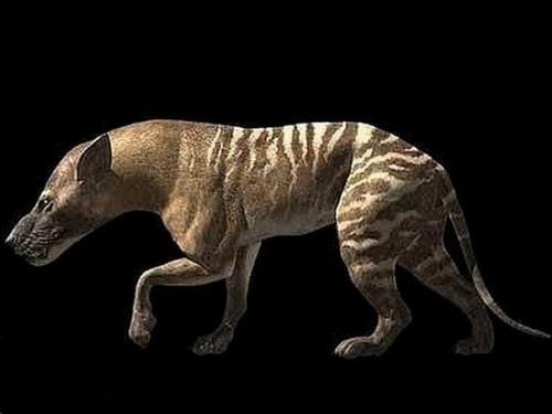 Вкусовые престрастия, как и ценности формируются годами, даже десятилетиями. 02