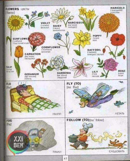 Полезная визуальная лексика английского языка. 08