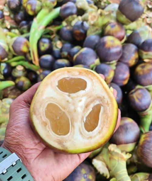 10 редких экзотических фруктов, которые вы увидите в первый раз. 02