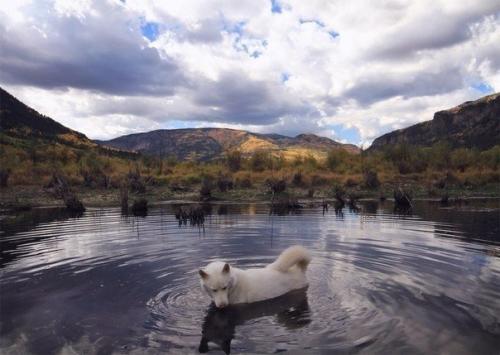 Джон сторц - иллюстратор и путешественник из США. 02