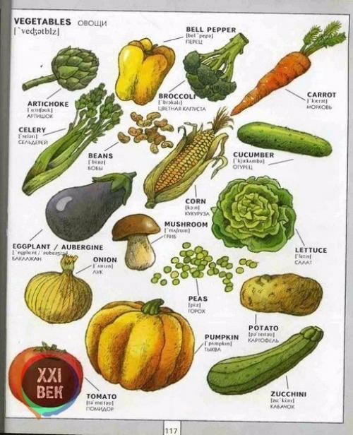 Полезная визуальная лексика английского языка. 04