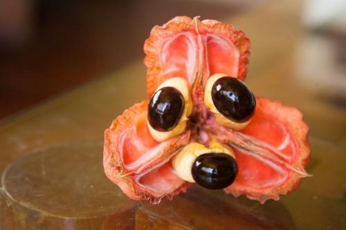 10 редких экзотических фруктов, которые вы увидите в первый раз. 04