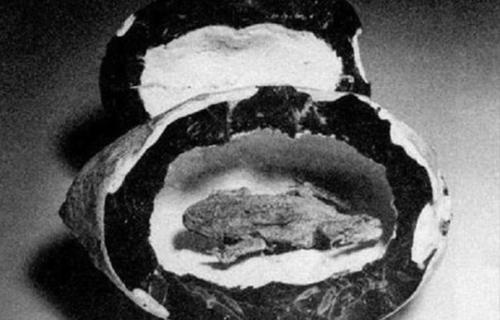 Существа из иного времени. Существа из иного времени.