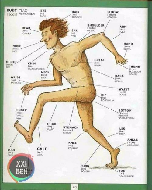 Полезная визуальная лексика английского языка. 02