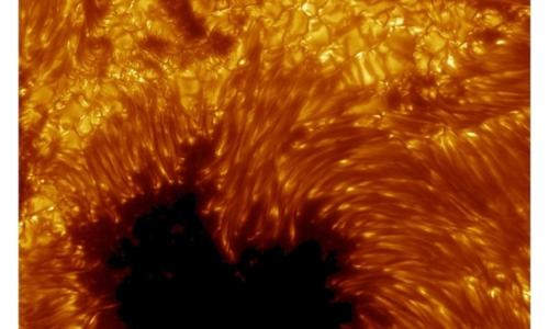 Обалденная девушка Анна, которая все смогла. 01