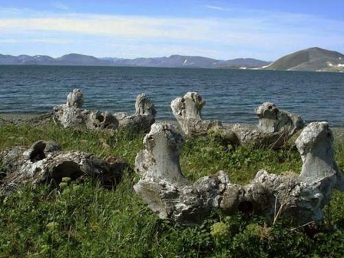 Китовая аллея на Чукотке. 03