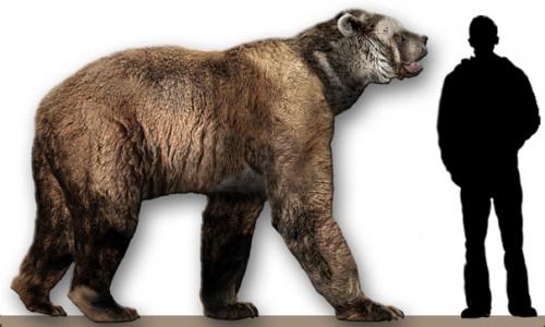 Вкусовые престрастия, как и ценности формируются годами, даже десятилетиями. 04